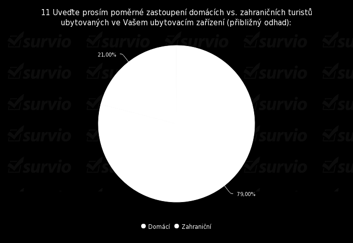 10. Převládající typ ubytovaných