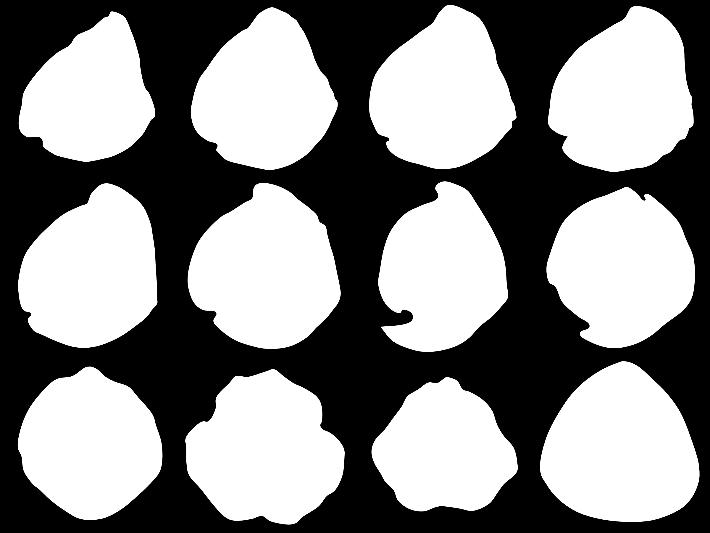 3 5 4 Obrázek : Série řezů poupětem hybridu hvězdníku (Hippeastrum sp.), možný základ pro tvorbu květního diagramu. okvětí, tyčinky, 3 čnělka, 4 semeník, 5 vajíčka. Foto autor.