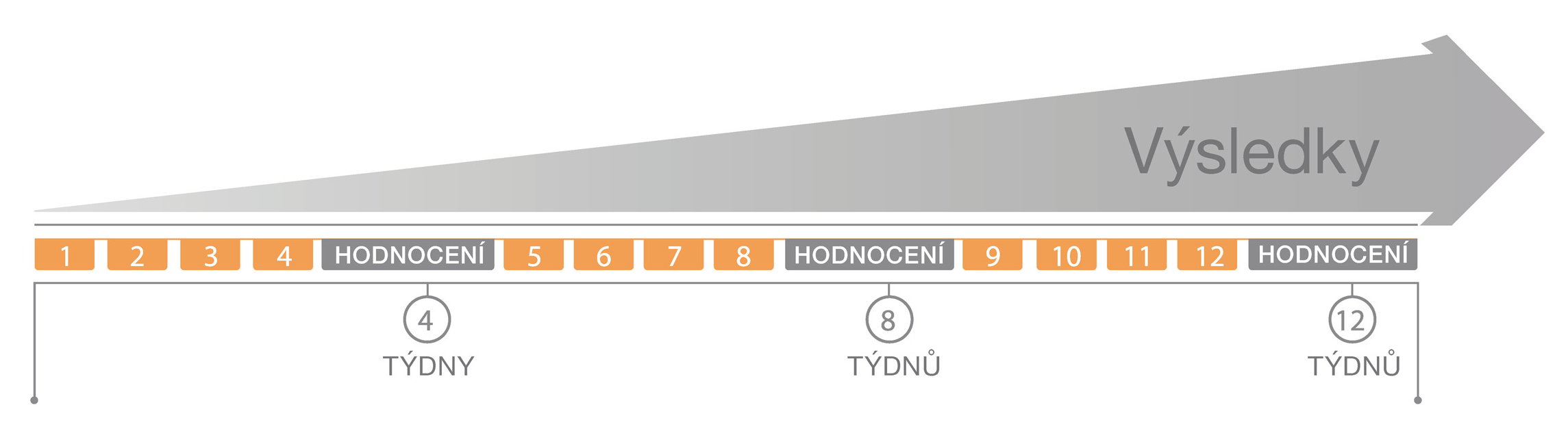 12 týdenní pracovní plán Výsledek = seminář + pracovní