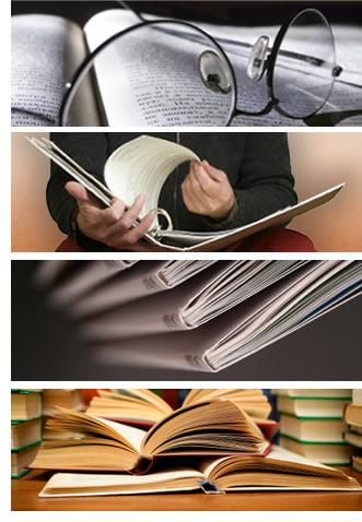 Kolik citované literatury použít?