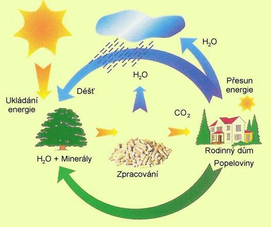 Zisk energie Spalování biomasy Výroba a