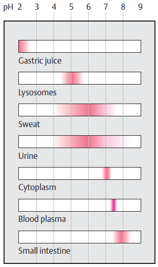 Pufry roztoky tlumící výkyvy ph směs slabé kyseliny a její konjugované soli: CH 3 COOH + NaOH CH 3 COONa + H 2 O CH 3 COONa + HCl CH 3 COOH + NaCl Hendersonova-Haselbachova rovnice