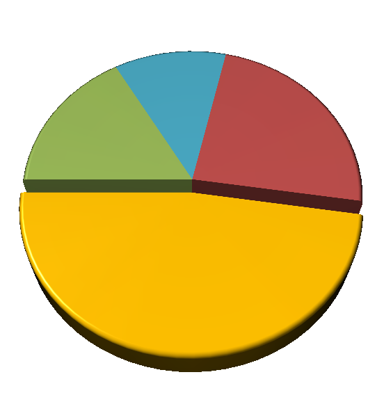 Grafické znázornění B) Výsečový graf koláčový graf (pie chart) 7; 17% 5; 12% 5; 12% 10; 24%