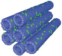 Dopované uhlíkové nanotrubice Atomy uhlíku ve všech typech nanotrubic lze nahradit jiným prvkem jako je například bor nebo dusík.
