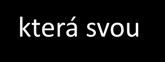 není to pouhý obraz, záznam historické události nebo symbol mateřství je to Marie, Madona, Matka Boží, Naše Paní umělec chápe obraz jako symbolické vyjádření PRAVDY,