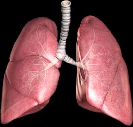 než je atmosférický plíce zůstávají roztažené pneumothorax = pokud při proražení hrudníku pronikne vzduch do pohrudniční dutiny, dojde k vyrovnání tlaku a ke splasknutí