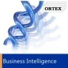 Koncept rozvoje řešení ORTEXu Orsoft Business Intelligence (Excell, Proclarity )