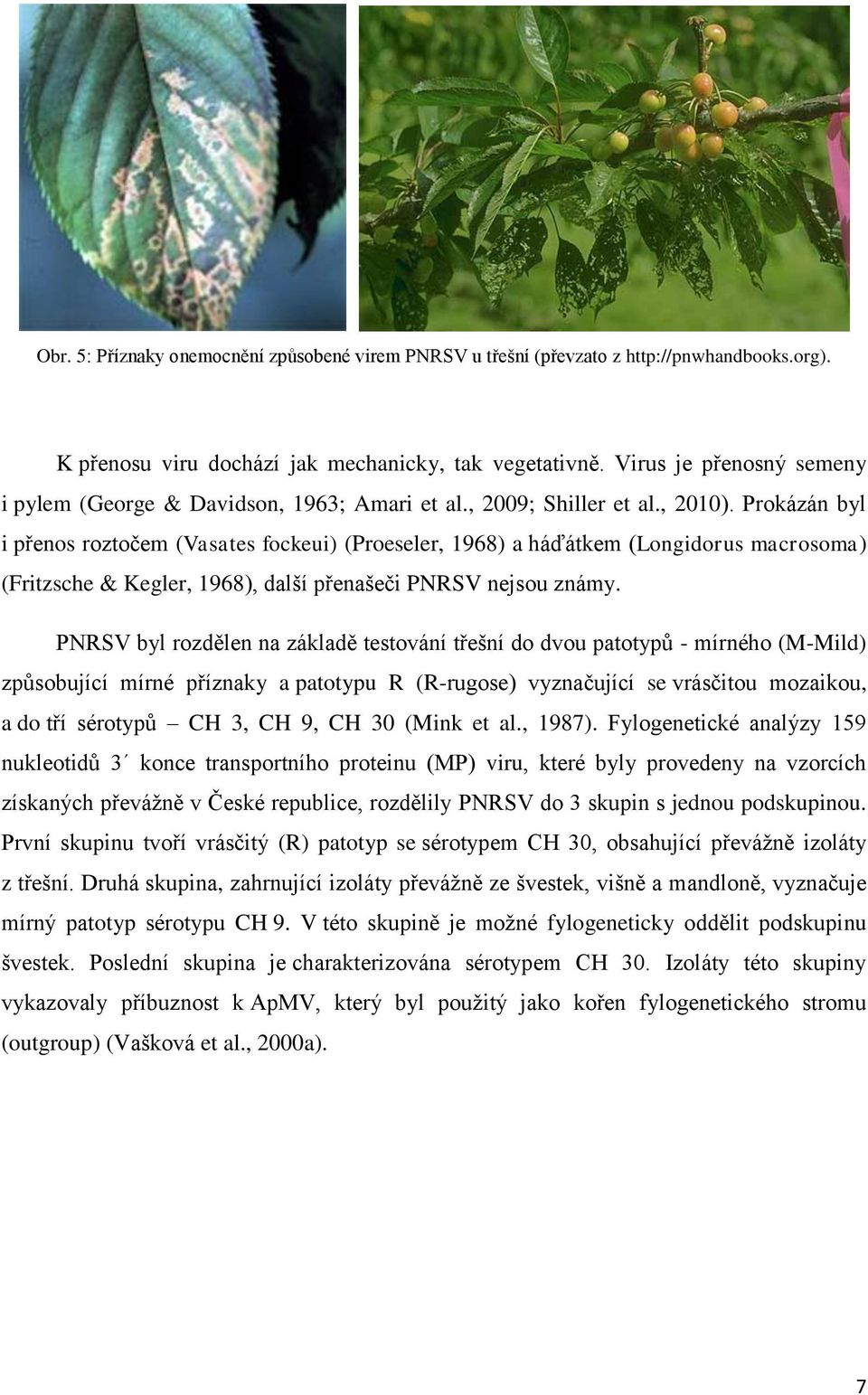 Prokázán byl i přenos roztočem (Vasates fockeui) (Proeseler, 1968) a háďátkem (Longidorus macrosoma) (Fritzsche & Kegler, 1968), další přenašeči PNRSV nejsou známy.