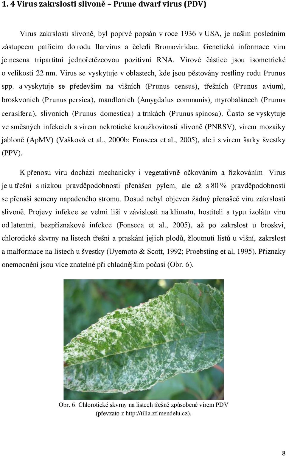 Virus se vyskytuje v oblastech, kde jsou pěstovány rostliny rodu Prunus spp.