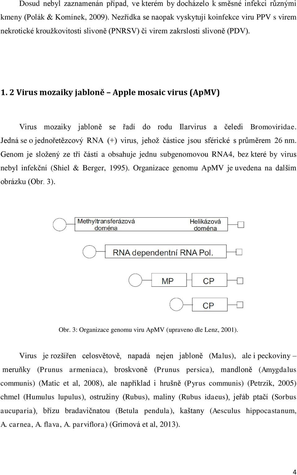 2 Virus mozaiky jabloně Apple mosaic virus (ApMV) Virus mozaiky jabloně se řadí do rodu Ilarvirus a čeledi Bromoviridae.