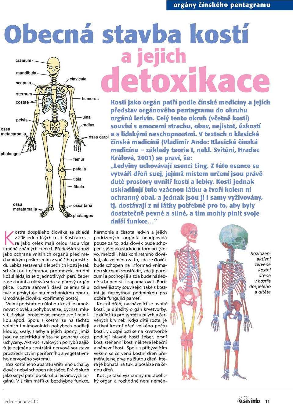 V textech o klasické čínské medicíně (Vladimír Ando: Klasická čínská medicína základy teorie I, nakl. Svítání, Hradec Králové, 2001) se praví, že: Ledviny uchovávají esenci ťing.