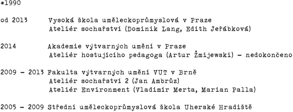 Ateliér hostujícího pedagoga (Artur Zmijewski) - nedokončeno 2009-2013 Fakulta výtvarných umění VUT