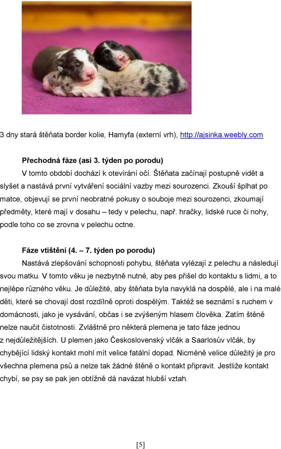 Zkouší šplhat po matce, objevují se první neobratné pokusy o souboje mezi sourozenci, zkoumají předměty, které mají v dosahu tedy v pelechu, např.
