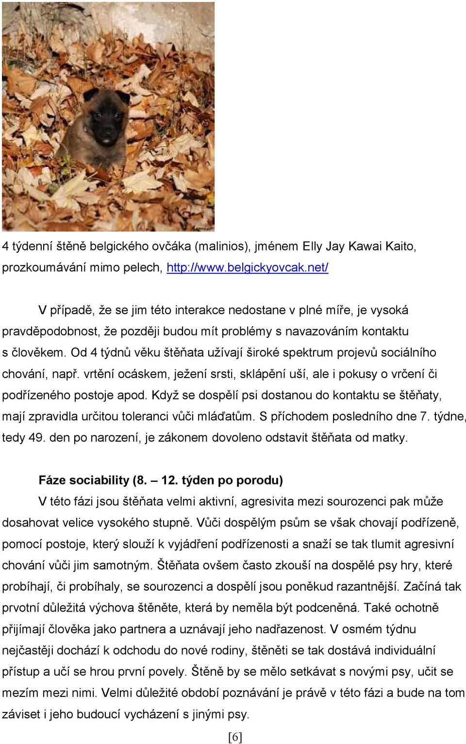 Od 4 týdnů věku štěňata užívají široké spektrum projevů sociálního chování, např. vrtění ocáskem, ježení srsti, sklápění uší, ale i pokusy o vrčení či podřízeného postoje apod.