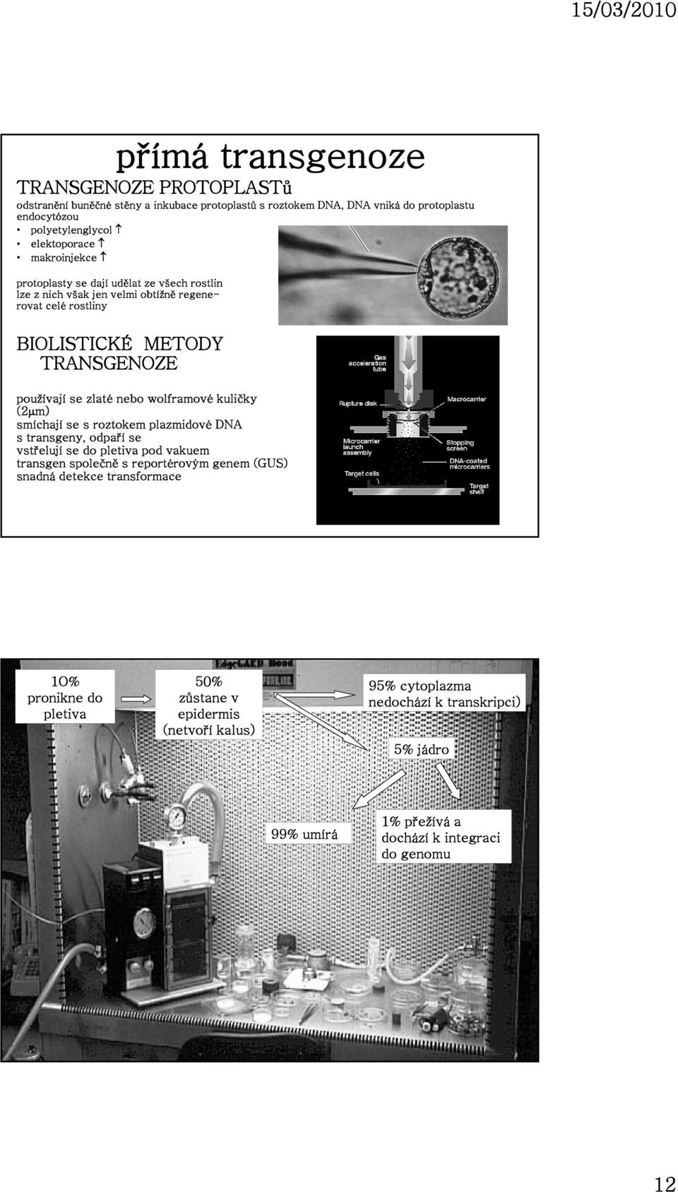 wolframové kuličky (2μm) smíchají se s roztokem plazmidové DNA s transgeny, odpaří se vstřelují se do pletiva pod vakuem transgen společně s reportérovým genem (GUS) snadná