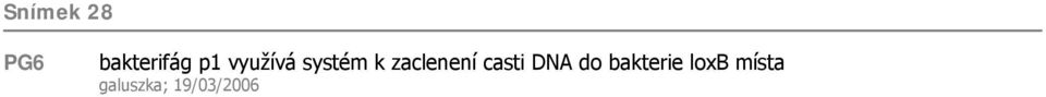 zaclenení casti DNA do
