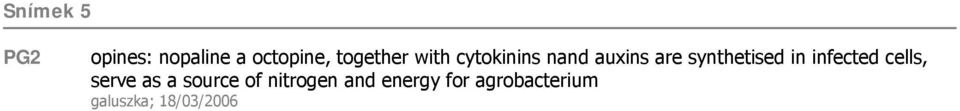 synthetised in infected cells, serve as a source