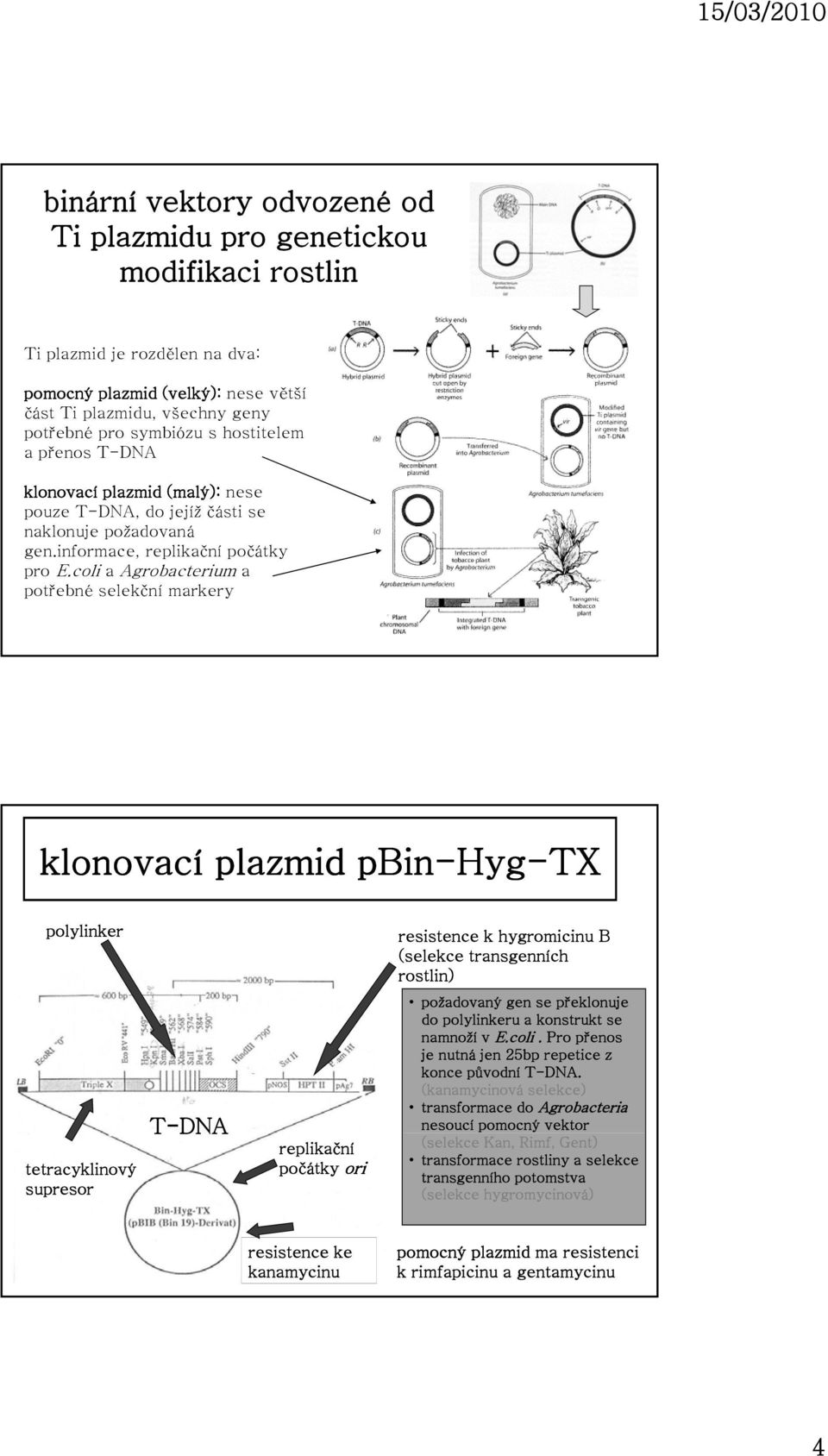 coli a Agrobacterium a potřebné selekční markery klonovací plazmid pbin-hyg-tx polylinker resistence k hygromicinu B (selekce transgenních rostlin) tetracyklinový supresor T-DNA replikační počátky