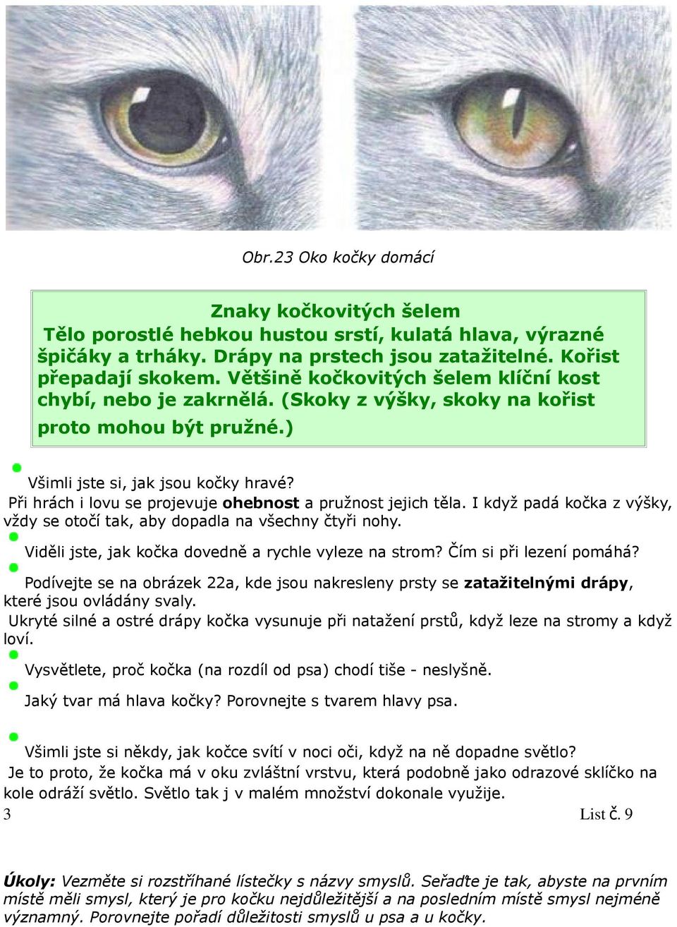 Při hrách i lovu se projevuje ohebnost a pružnost jejich těla. I když padá kočka z výšky, vždy se otočí tak, aby dopadla na všechny čtyři nohy. Viděli jste, jak kočka dovedně a rychle vyleze na strom?