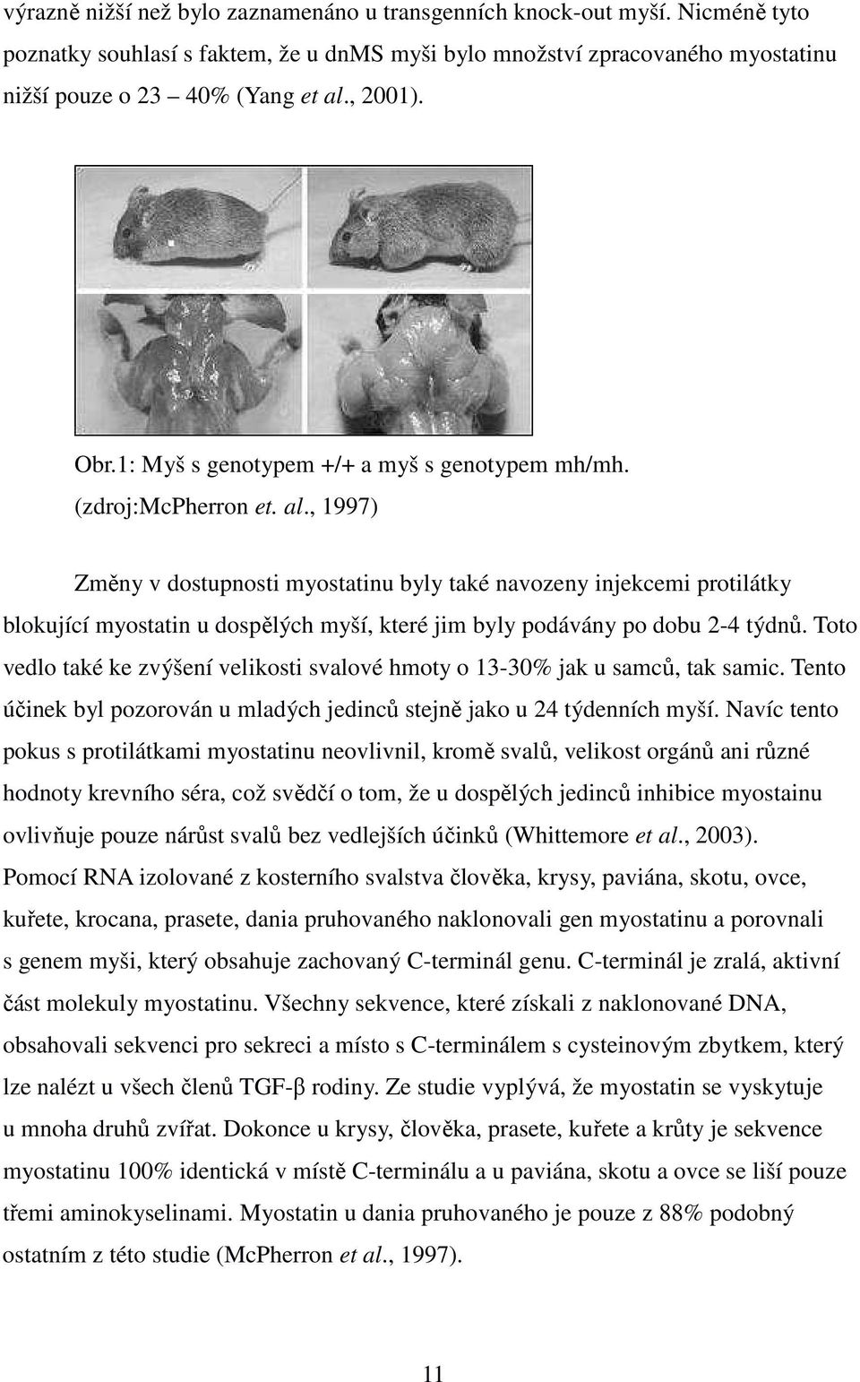 , 1997) Změny v dostupnosti myostatinu byly také navozeny injekcemi protilátky blokující myostatin u dospělých myší, které jim byly podávány po dobu 2-4 týdnů.