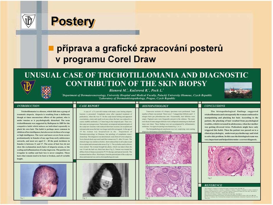 zpracování