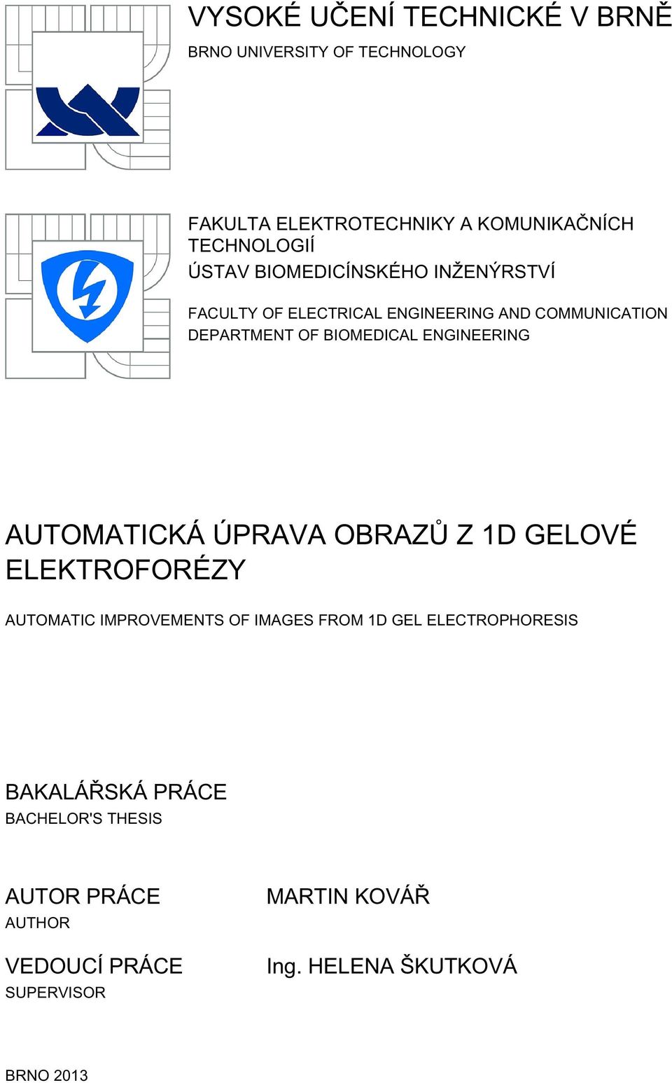 AUTOMATICKÁ ÚPRAVA OBRAZŮ Z 1D GELOVÉ ELEKTROFORÉZY AUTOMATIC IMPROVEMENTS OF IMAGES FROM 1D GEL ELECTROPHORESIS