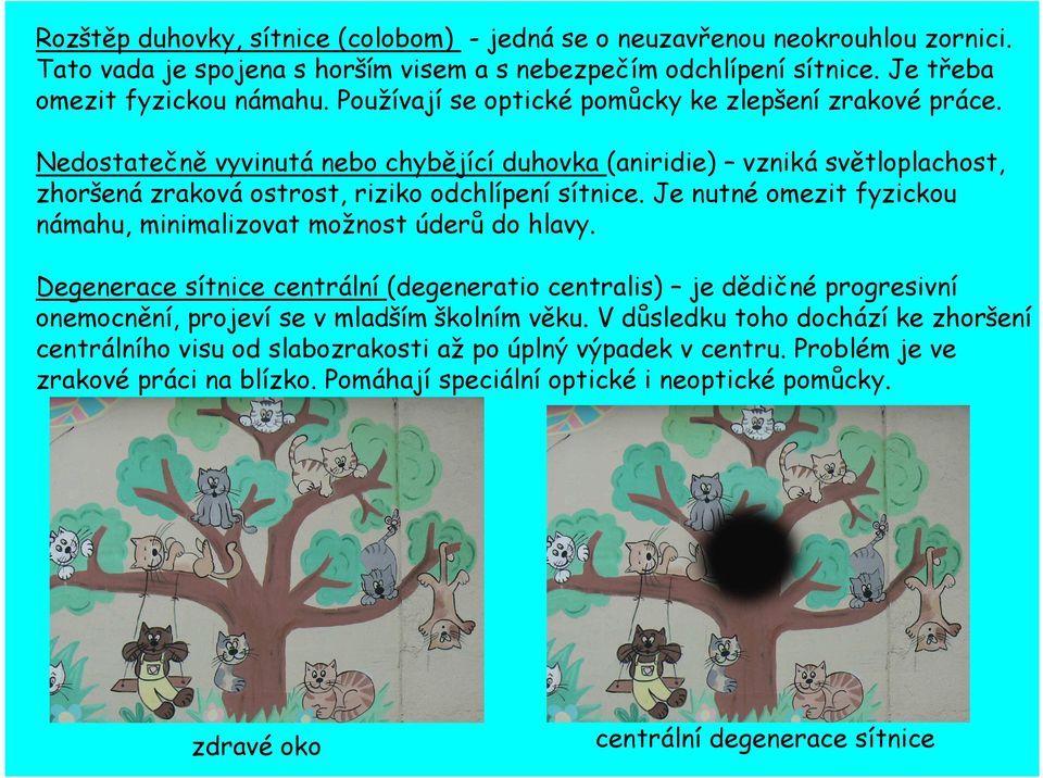 Je nutné omezit fyzickou námahu, minimalizovat možnost úderů do hlavy. Degenerace sítnice centrální (degeneratio centralis) je dědičné progresivní onemocnění, projeví se v mladším školním věku.