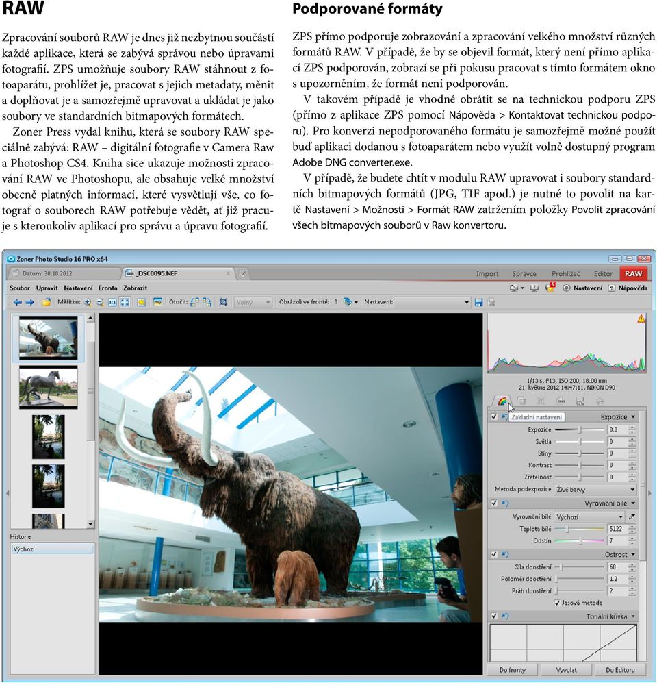 Zoner Press vydal knihu, která se soubory RAW speciálně zabývá: RAW digitální fotografie v Camera Raw a Photoshop CS4.