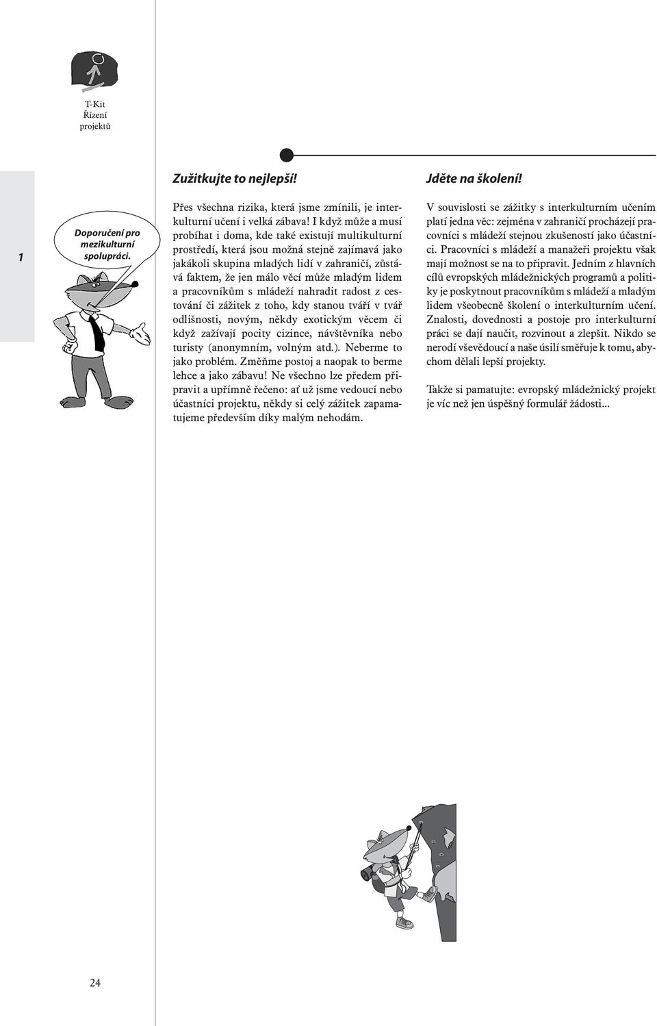 mladým lidem a pracovníkům s mládeží nahradit radost z cestování či zážitek z toho, kdy stanou tváří v tvář odlišnosti, novým, někdy exotickým věcem či když zažívají pocity cizince, návštěvníka nebo