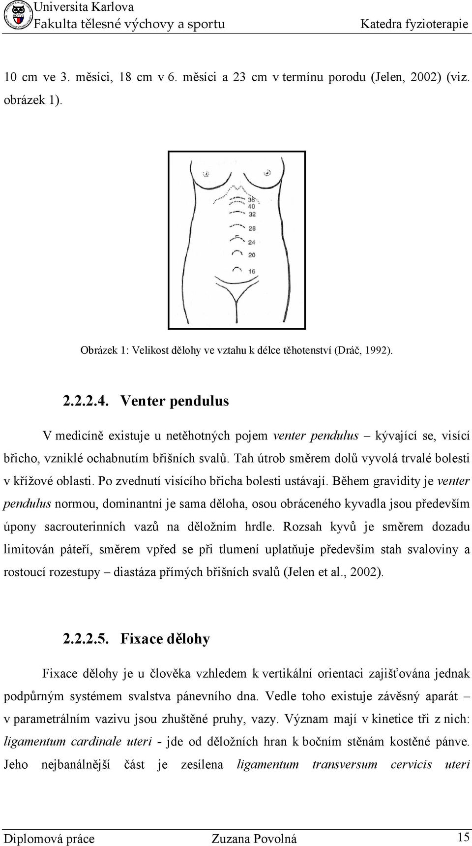 Po zvednutí visícího břicha bolesti ustávají. Během gravidity je venter pendulus normou, dominantní je sama děloha, osou obráceného kyvadla jsou především úpony sacrouterinních vazů na děložním hrdle.