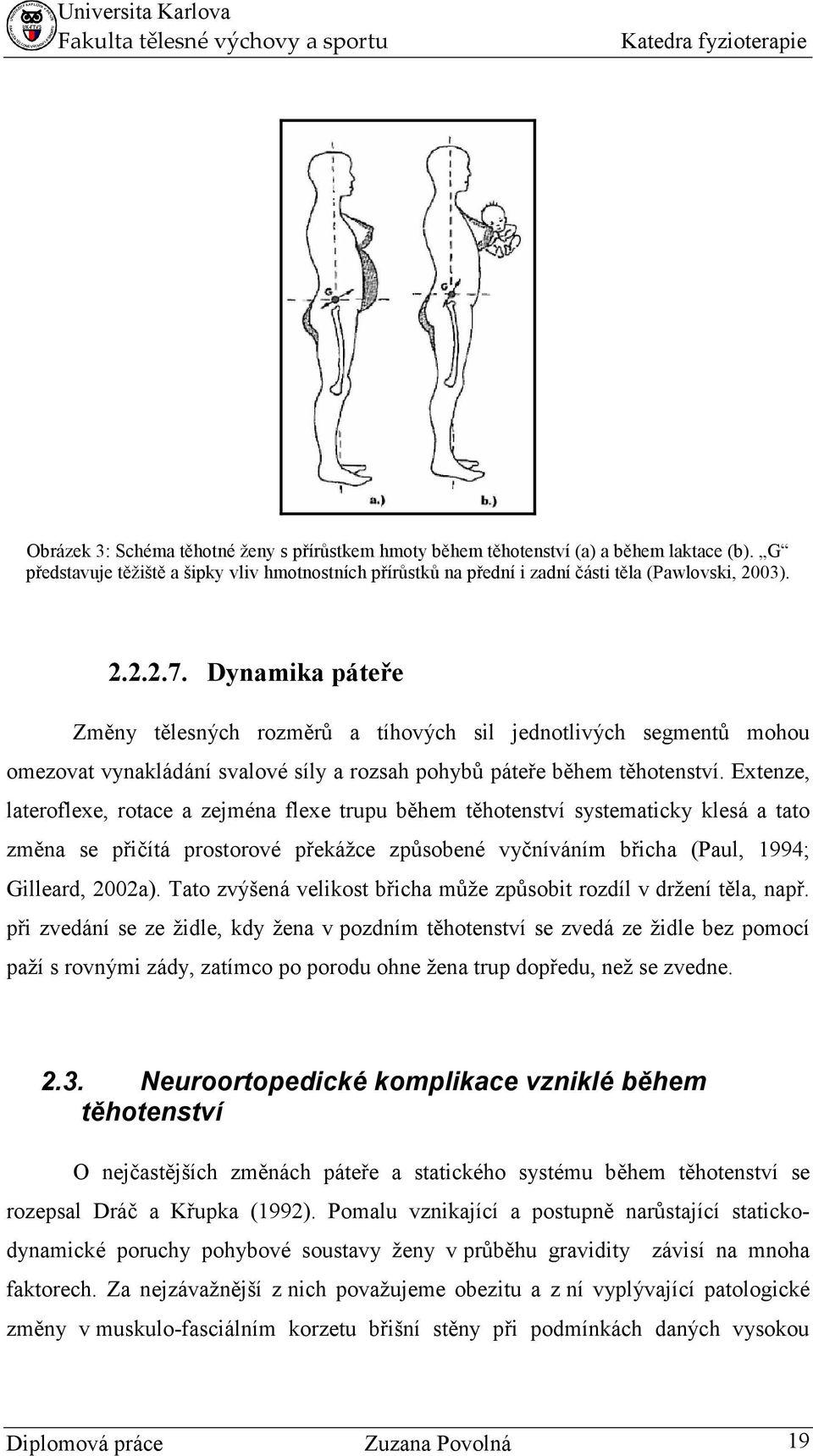 Extenze, lateroflexe, rotace a zejména flexe trupu během těhotenství systematicky klesá a tato změna se přičítá prostorové překážce způsobené vyčníváním břicha (Paul, 1994; Gilleard, 2002a).