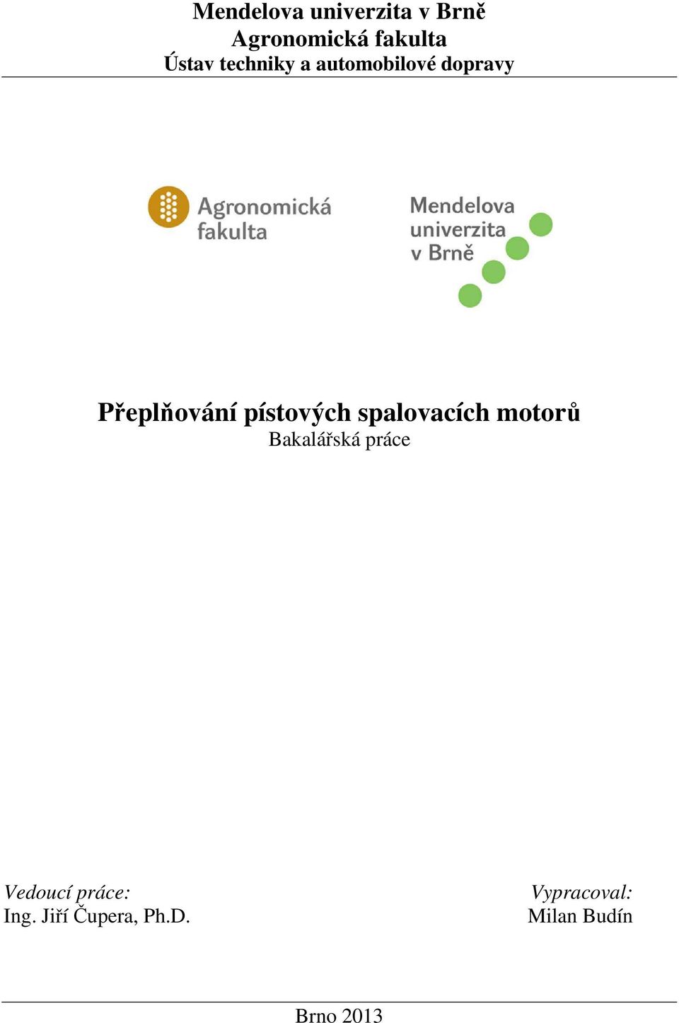 spalovacích motorů Bakalářská práce Vedoucí práce: