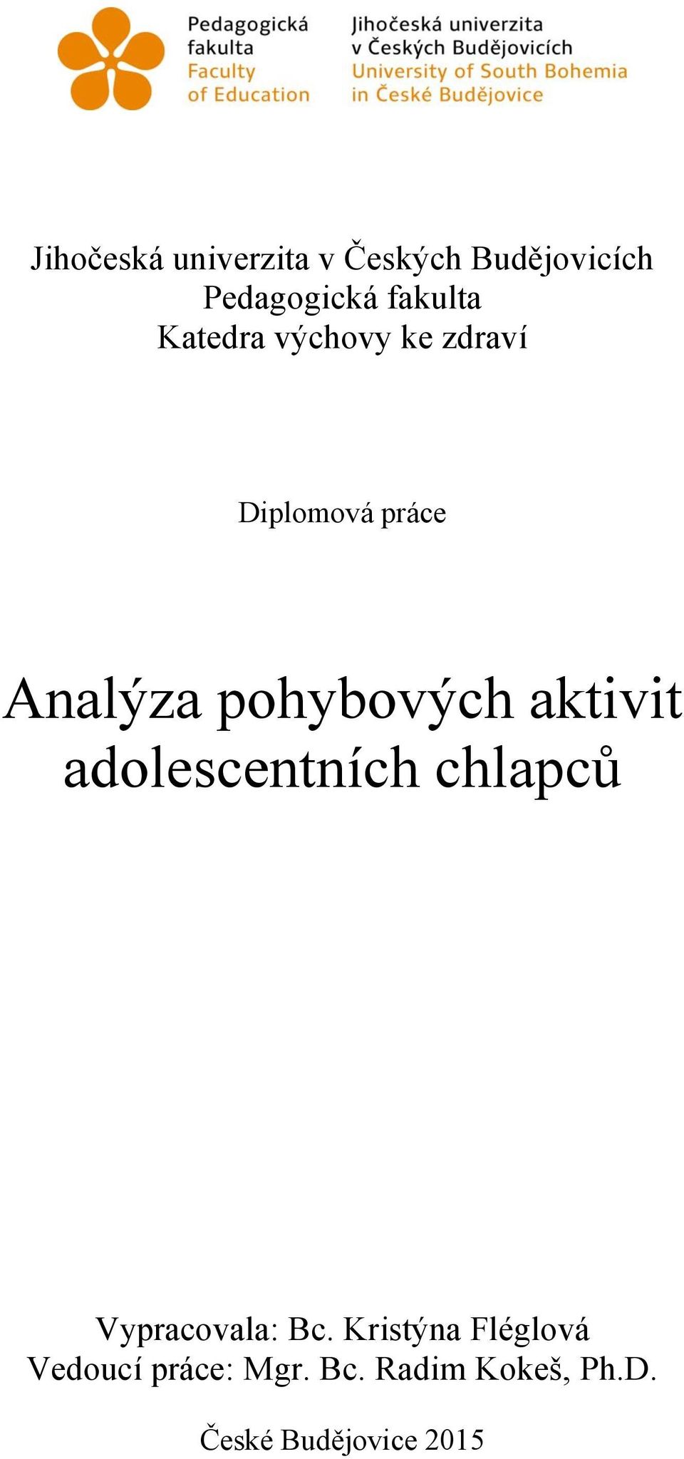 aktivit adolescentních chlapců Vypracovala: Bc.