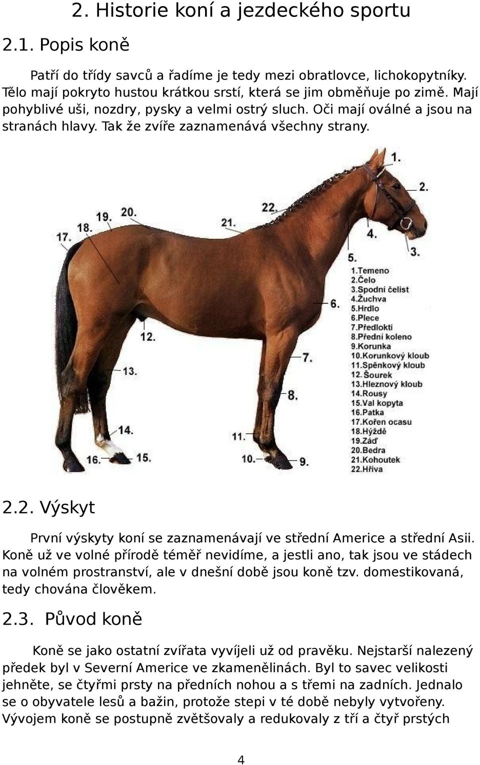 2. Výskyt První výskyty koní se zaznamenávají ve střední Americe a střední Asii.