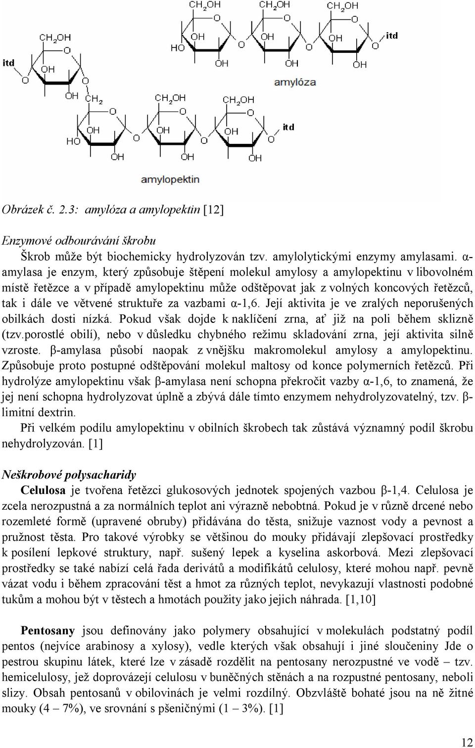 struktuře za vazbami α-1,6. Její aktivita je ve zralých neporušených obilkách dosti nízká. Pokud však dojde k naklíčení zrna, ať již na poli během sklizně (tzv.