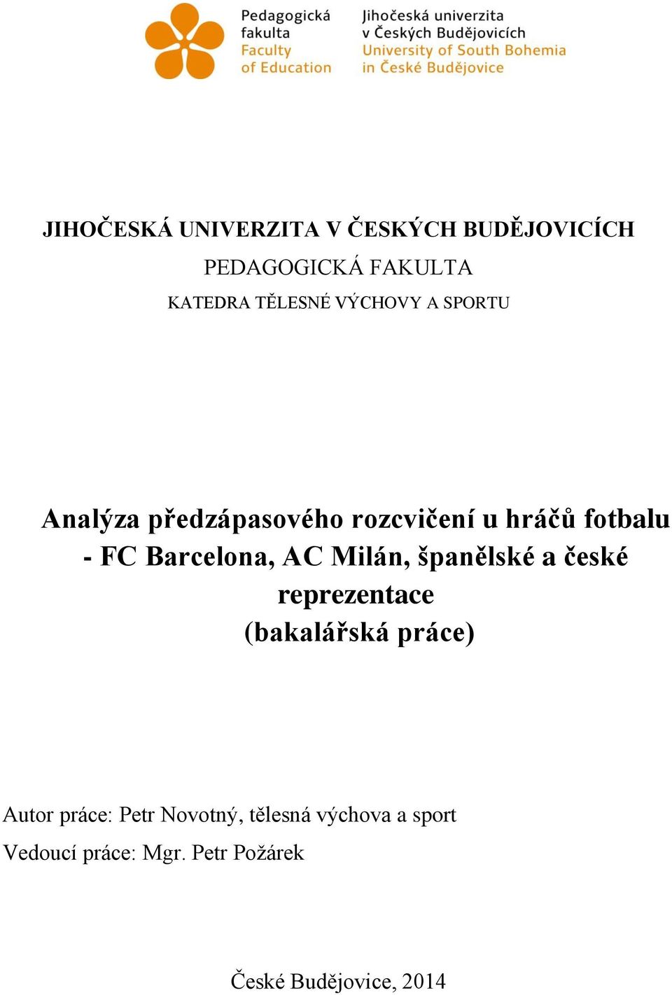AC Milán, španělské a české reprezentace (bakalářská práce) Autor práce: Petr