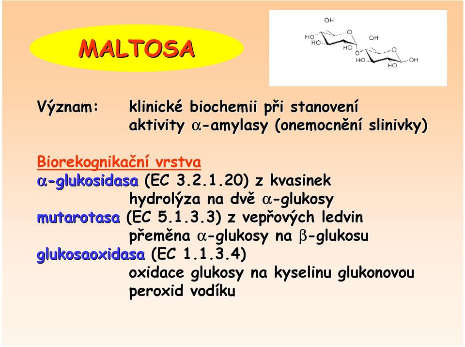 20) z kvasinek hydrolýza na dvě α-glukosy mutarotasa (EC 5.1.3.