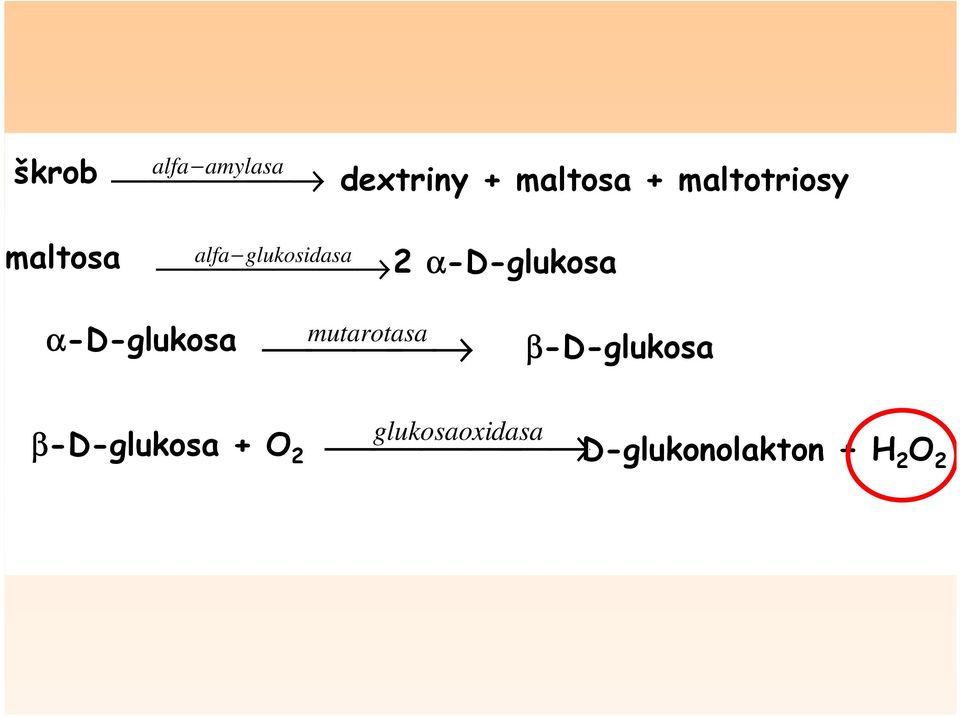 α-d-glukosa α-d-glukosa mutarotasa β-d-glukosa