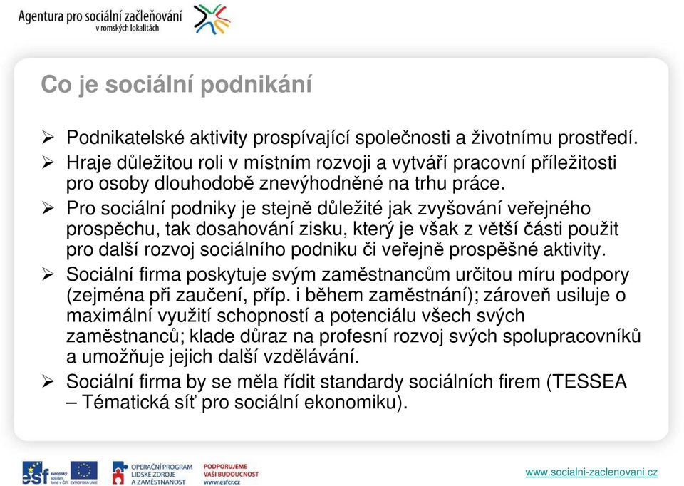 Pro sociální podniky je stejně důležité jak zvyšování veřejného prospěchu, tak dosahování zisku, který je však z větší části použit pro další rozvoj sociálního podniku či veřejně prospěšné aktivity.