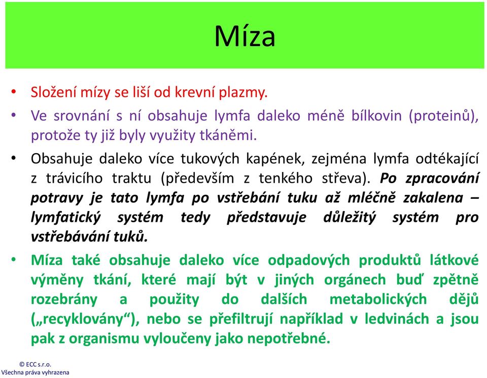 Po zpracování potravy je tato lymfa po vstřebání tuku až mléčně zakalena lymfatický systém tedy představuje důležitý systém pro vstřebávání tuků.