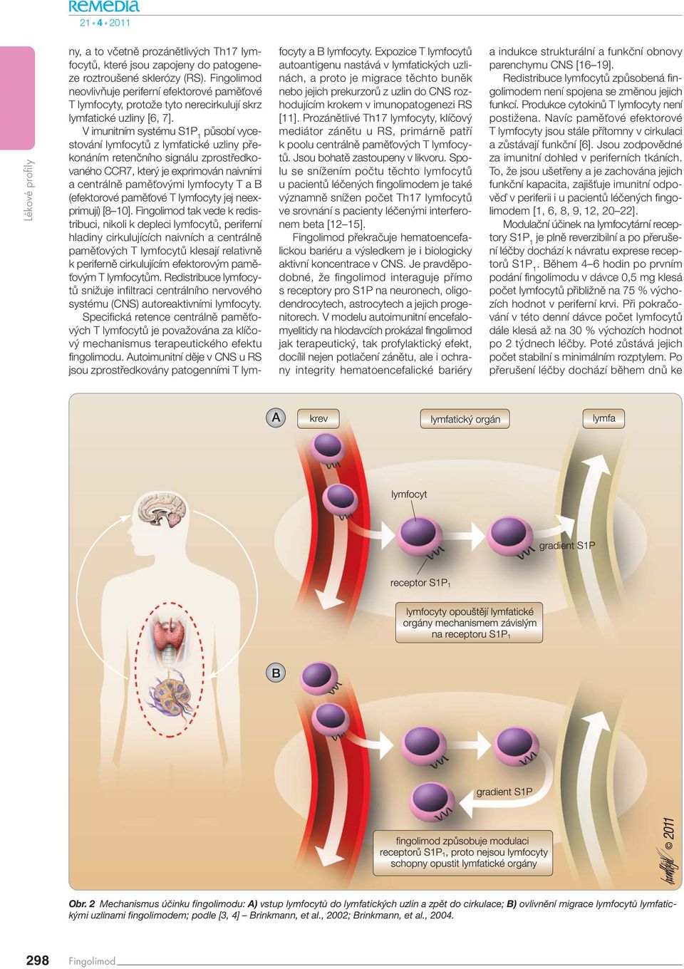 V imunitním systému S1P 1 pûsobí vycestování lymfocytû z lymfatické uzliny pfiekonáním retenãního signálu zprostfiedkovaného CCR7, kter je exprimován naivními a centrálnû pamûèov mi lymfocyty T a B