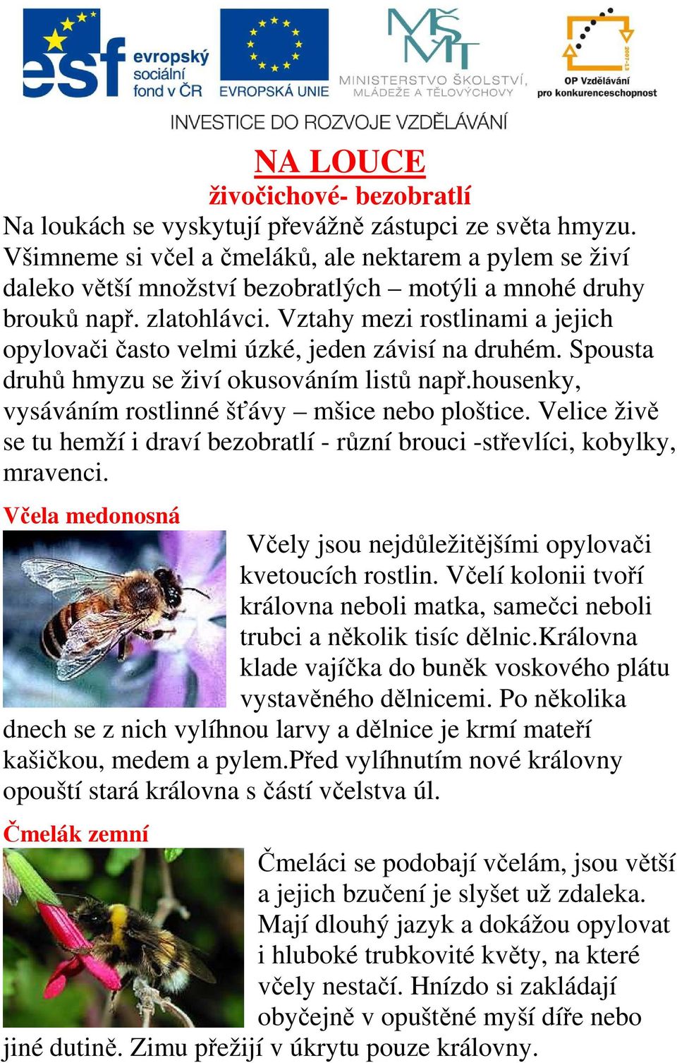 Vztahy mezi rostlinami a jejich opylovači často velmi úzké, jeden závisí na druhém. Spousta druhů hmyzu se živí okusováním listů např.housenky, vysáváním rostlinné šťávy mšice nebo ploštice.