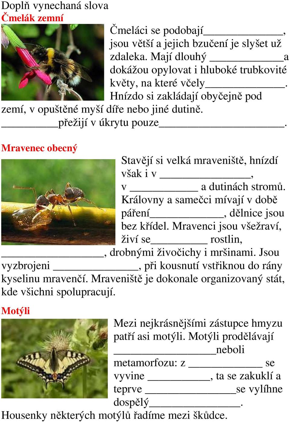 Královny a samečci mívají v době páření, dělnice jsou bez křídel. Mravenci jsou všežraví, živí se rostlin,, drobnými živočichy i mršinami.