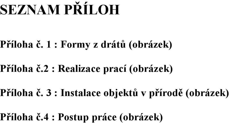 2 : Realizace prací (obrázek) Příloha č.