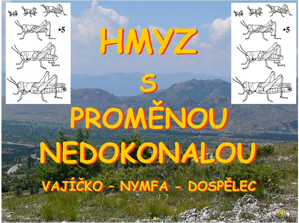 NEDOKONALOU