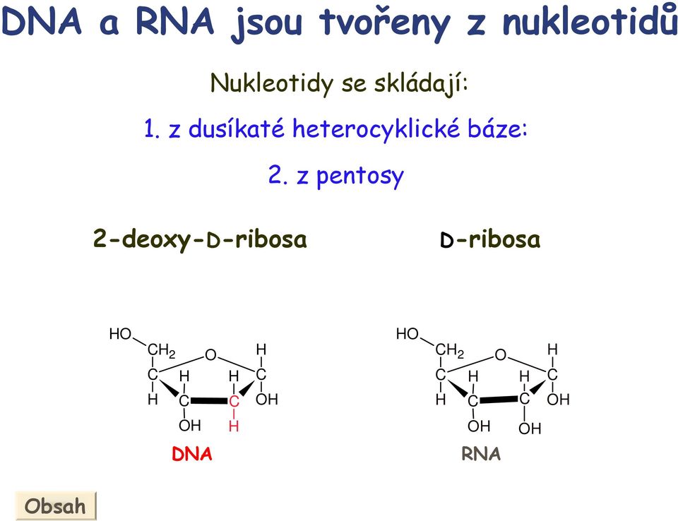 z dusíkaté heterocyklické báze: 2.