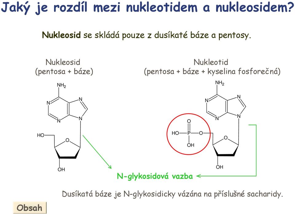 ukleosid (pentosa + báze) 2 ukleotid (pentosa + báze + kyselina