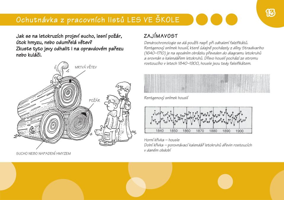 Rentgenový snímek houslí, které údajně pocházely z dílny Stradivariho (1640 1710) je na spodním obrázku převeden do diagramu letokruhů a srovnán s kalendářem letokruhů.