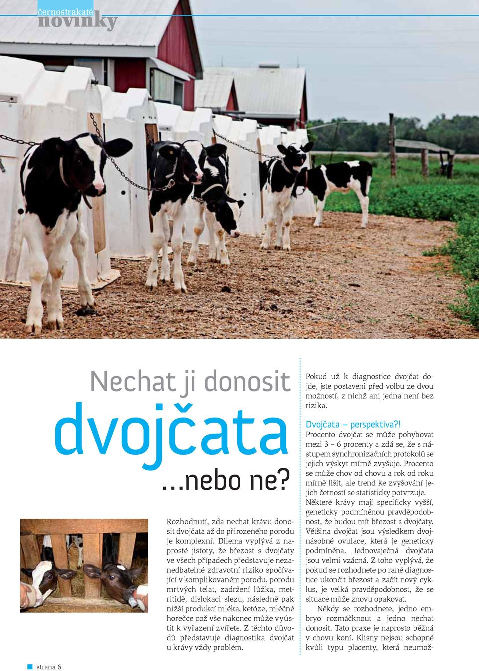 metritidě, dislokaci slezu, následně pak nižší produkcí mléka, ketóze, mléčné horečce což vše nakonec může vyústit k vyřazení zvířete.
