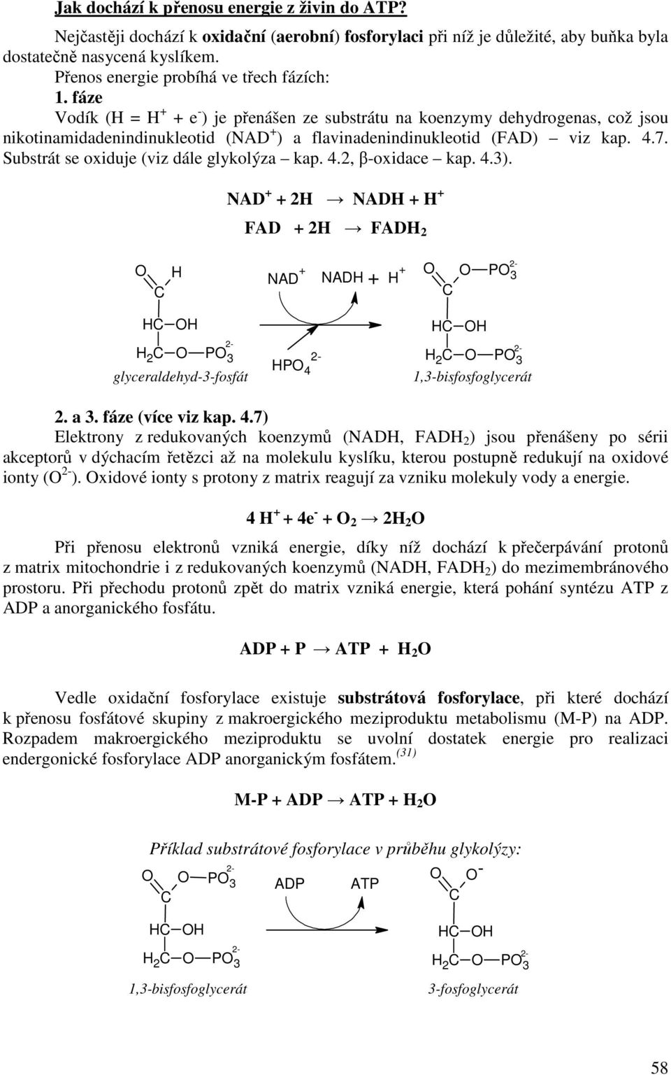 4.7. Substrát se oxiduje (viz dále glykolýza kap. 4.
